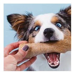 Kaustange mit echtem Holz - aber ungefährlich!